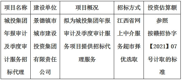 城投集團年報審計及季度審計服務(wù)招標代理計劃公告
