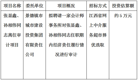 張顯鑫、孫相偉同志離任審計項目計劃公告