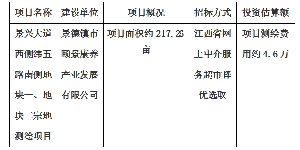 景興大道西側(cè)緯五路南側(cè)地塊一、地塊二宗地