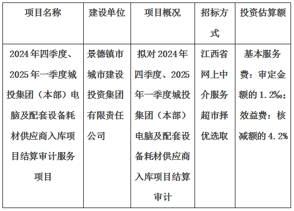 2024年四季度、2025年一季度城投集團（本部）電腦及配套設備耗材供應商入庫項目結算審計服務項目計劃公告