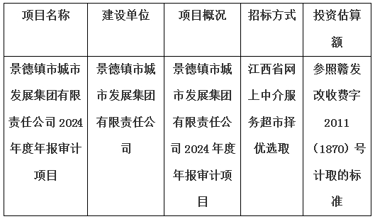 景德鎮市城市發展集團有限責任公司2024年度年報審計項目計劃公告