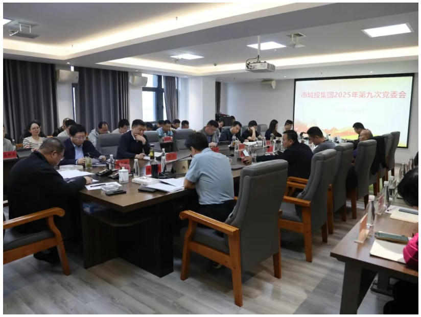 市城投集團召開黨委會傳達學習貫徹黨的二十屆四中全會精神